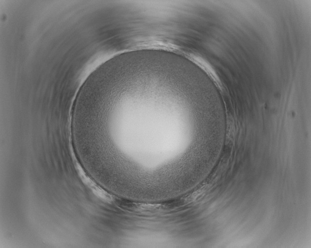 X0000089881439200706281339