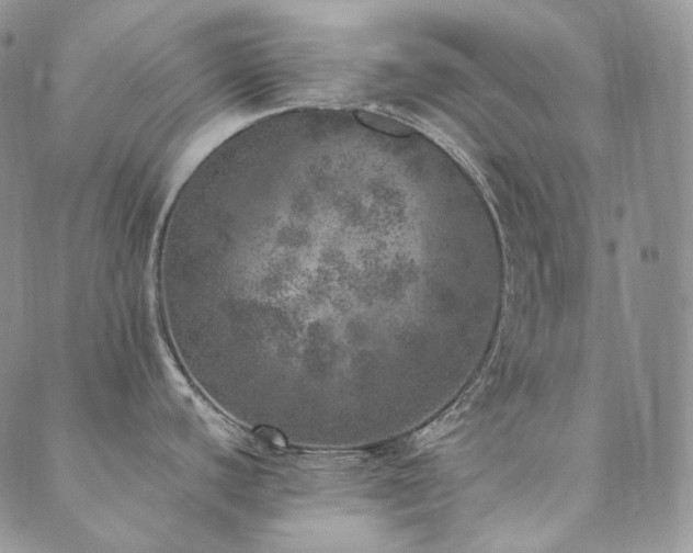 X0000089881440200706281339