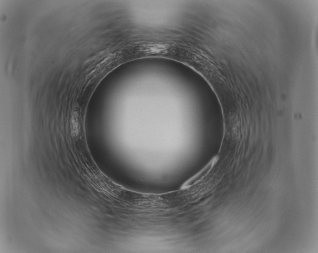 X0000089881442200706281338