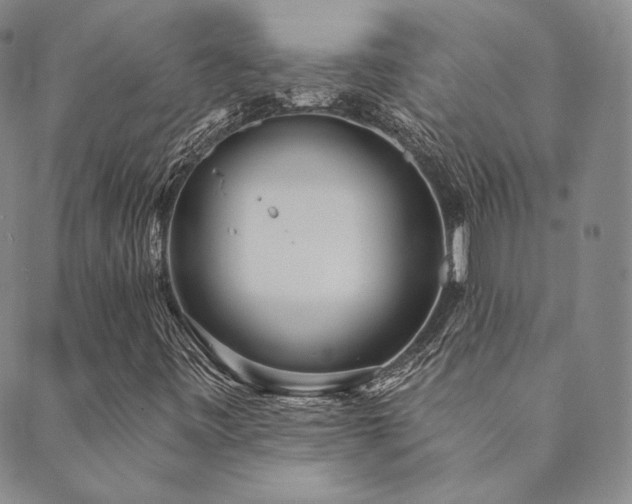 X0000089881443200706281338