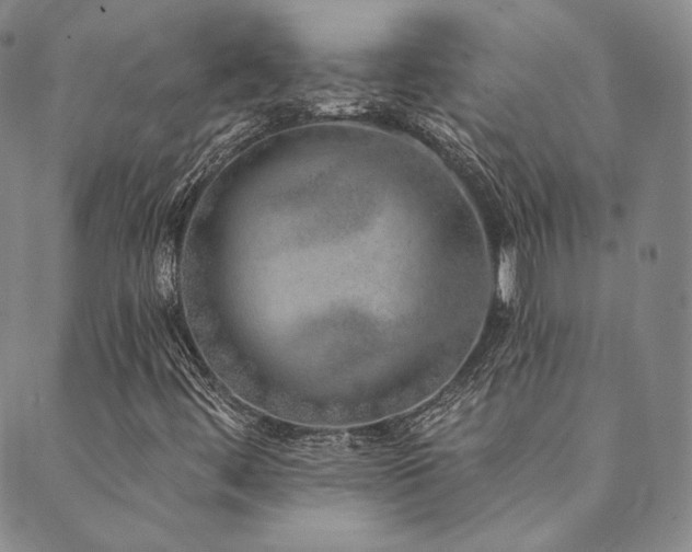 X0000089881444200706281338