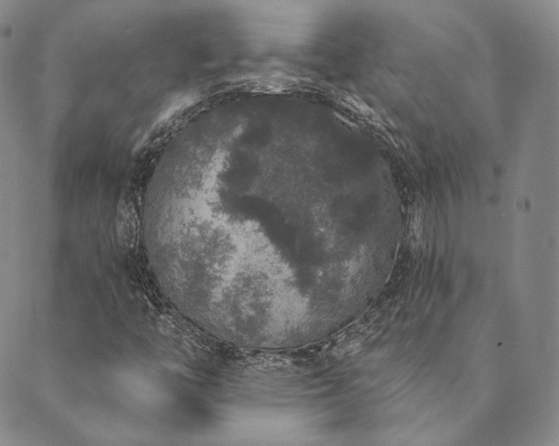 X0000089881446200706281338