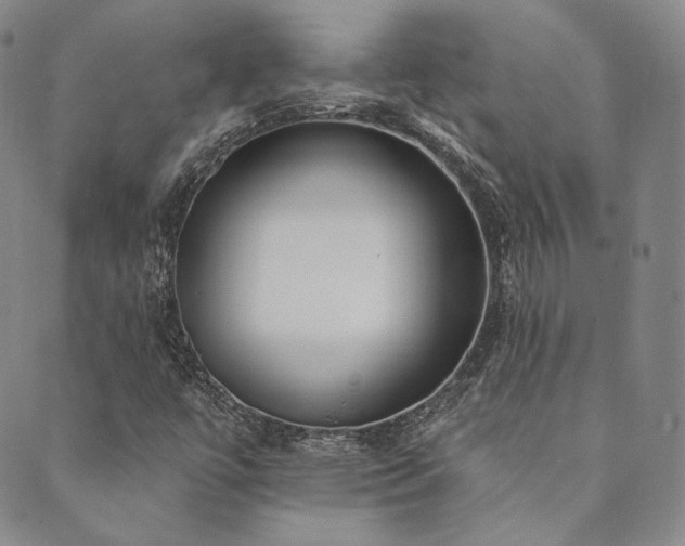 X0000089881447200706281338