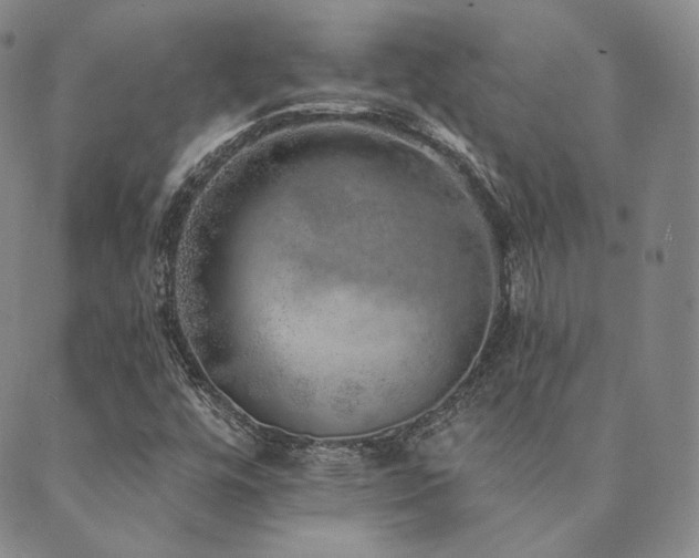 X0000089881448200706281338