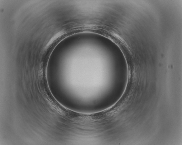 X0000089881450200706281338