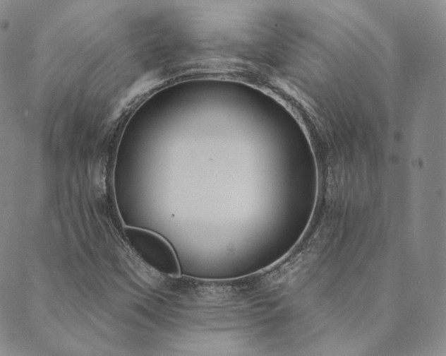 X0000089881451200706281338