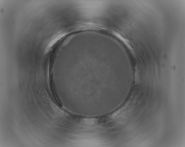 X0000089881453200706281338