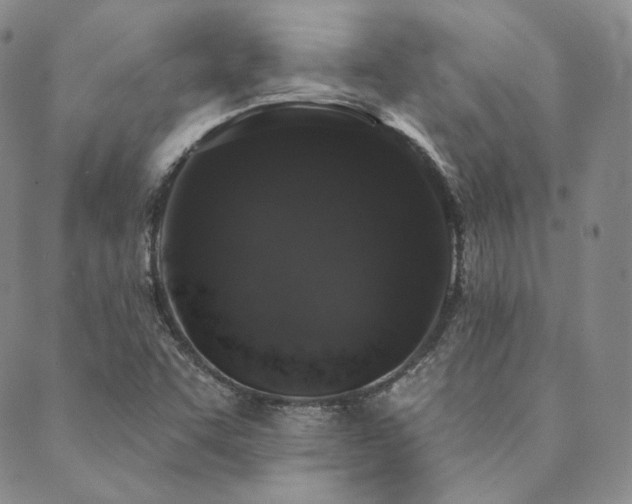 X0000089881455200706281338