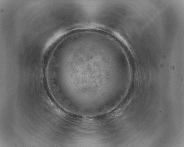 X0000089881456200706281338