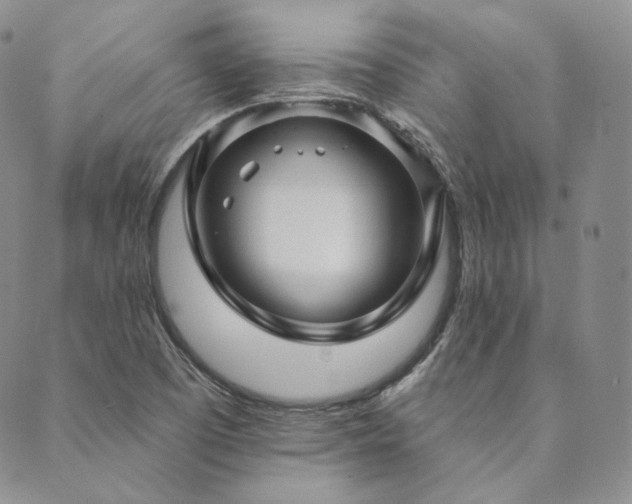 X0000089881457200706281338