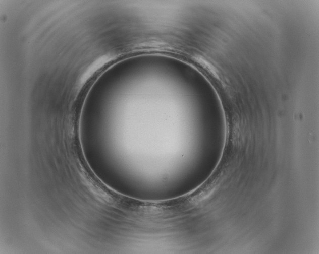 X0000089881458200706281338