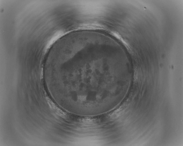 X0000089881459200706281337