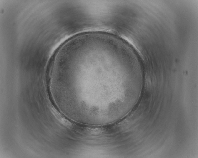 X0000089881460200706281337