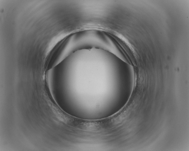 X0000089881461200706281337