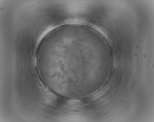 X0000089881462200706281337