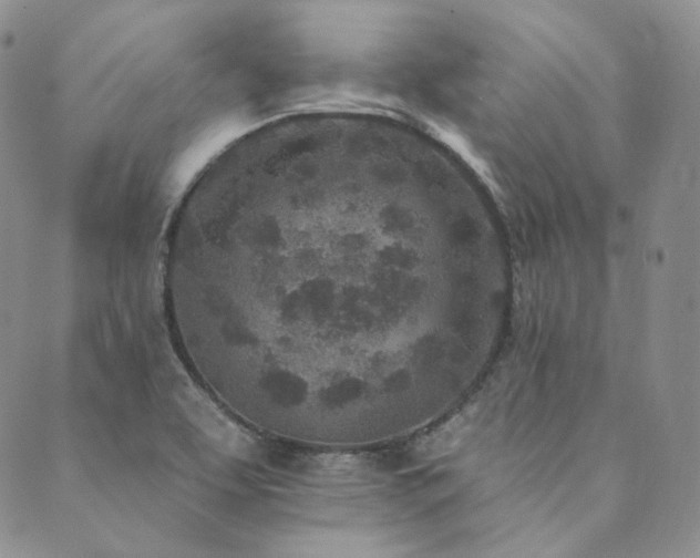 X0000089881463200706281337