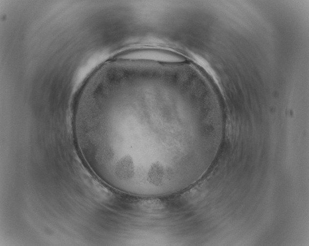 X0000089881464200706281337