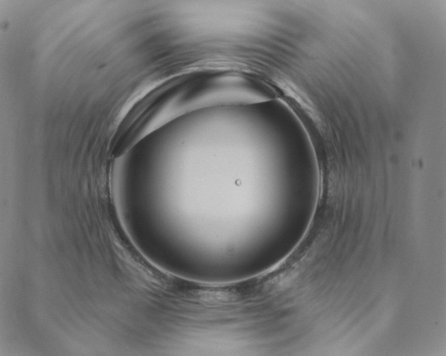 X0000089881465200706281337