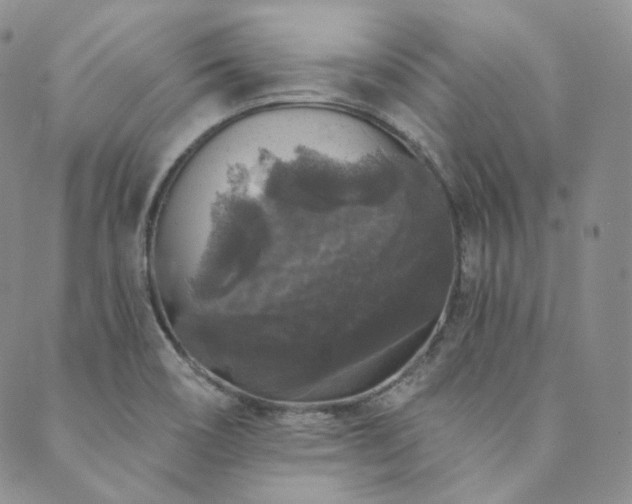 X0000089881466200706281337