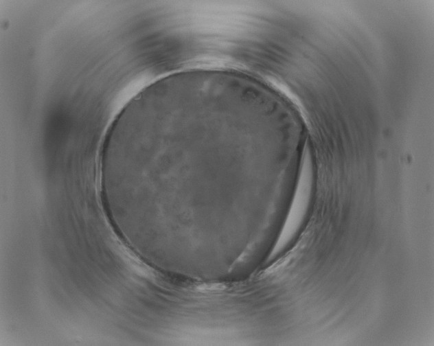 X0000089881467200706281337