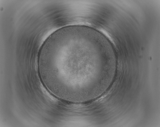 X0000089881468200706281337