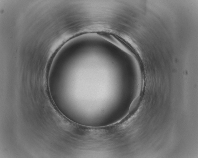 X0000089881469200706281337