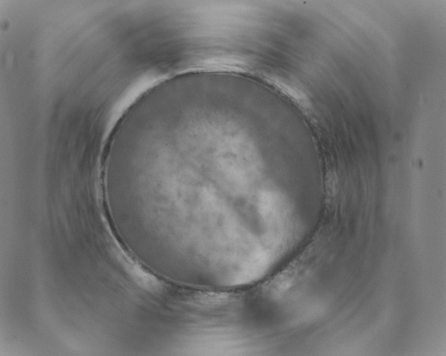 X0000089881470200706281337