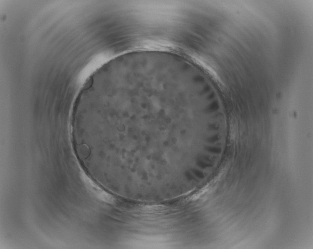 X0000089881471200706281337