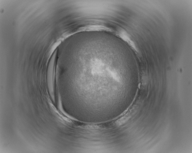 X0000089881473200706281337