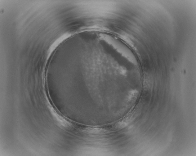 X0000089881474200706281337