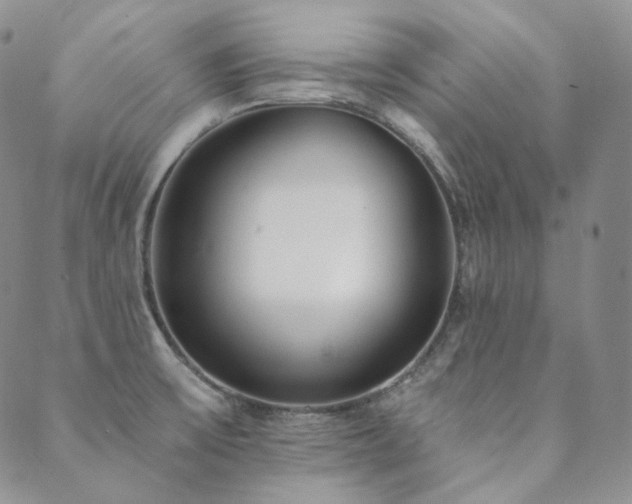 X0000089881475200706281337