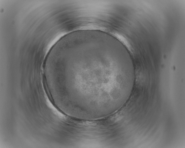 X0000089881476200706281337