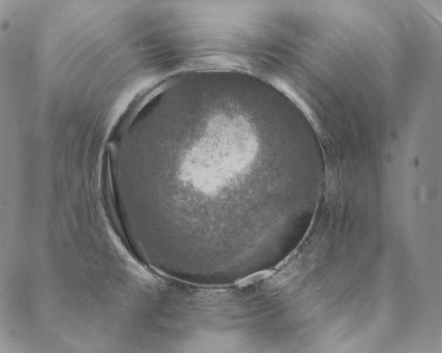 X0000089881477200706281337