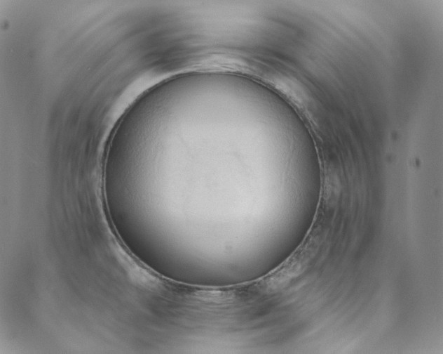 X0000089881478200706281337