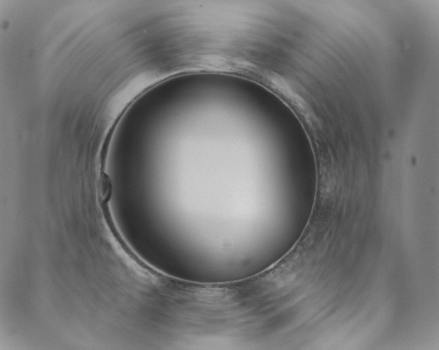 X0000089881479200706281337