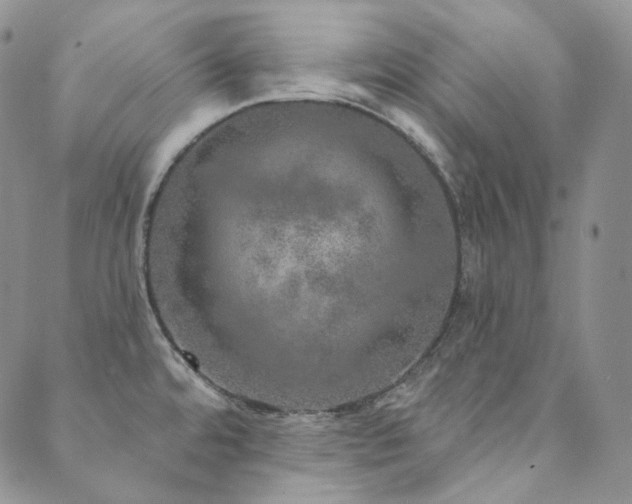 X0000089881480200706281337