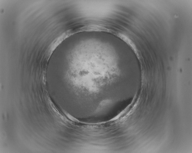 X0000089881481200706281337