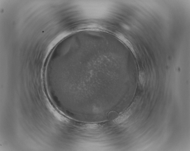 X0000089881482200706281337