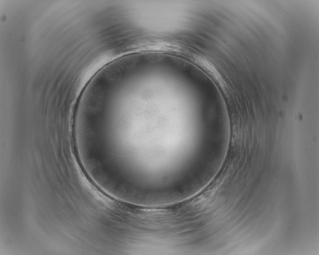 X0000089881483200706281337