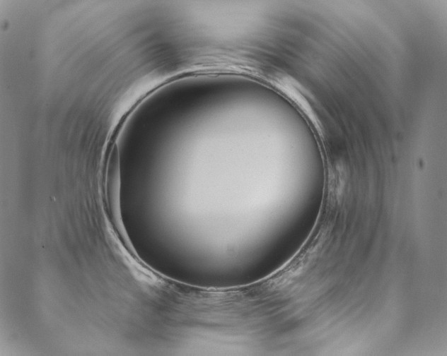 X0000089881485200706281337