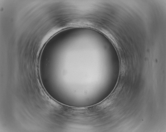 X0000089881486200706281337