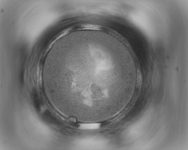 X0000089881487200706281337