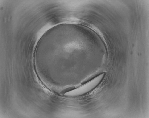 X0000089881488200706281337