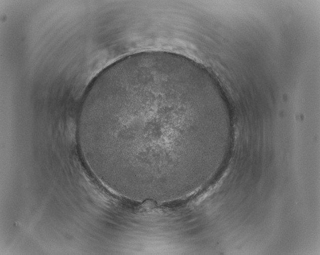 X0000089881505200706281337