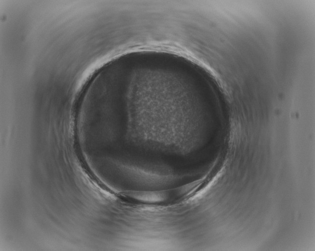 X0000089881506200706281337