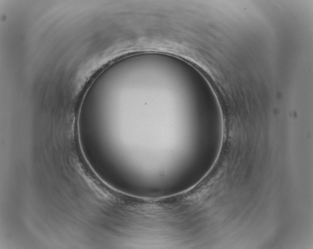 X0000089881507200706281337