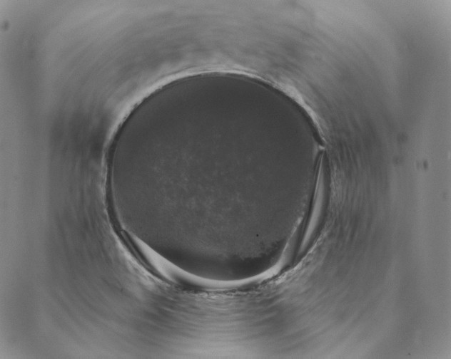 X0000089881508200706281337