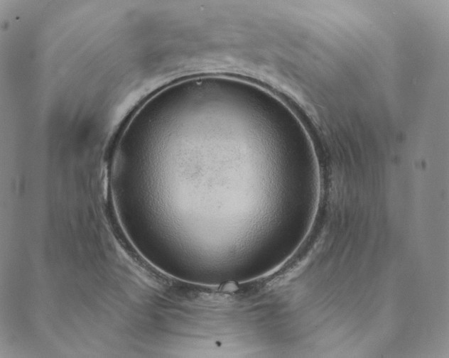 X0000089881509200706281337