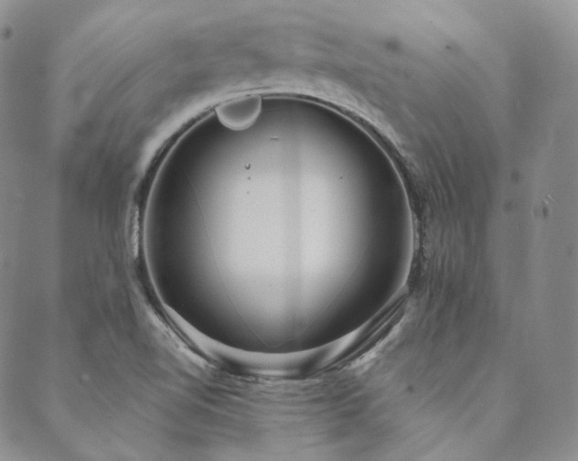 X0000089881510200706281337