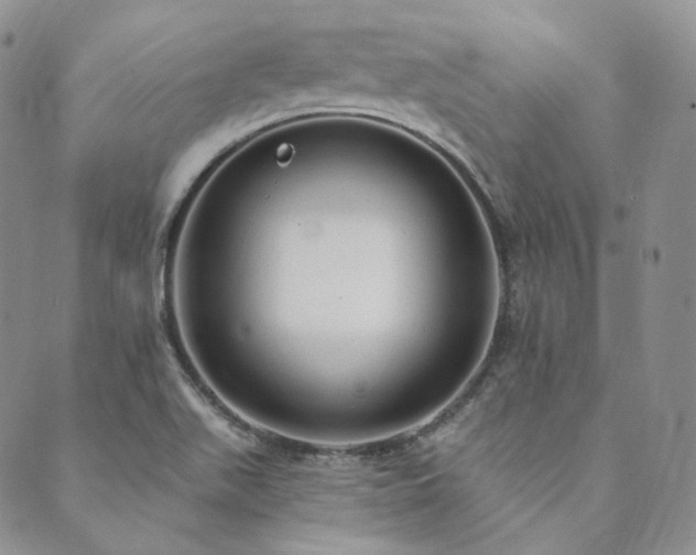 X0000089881511200706281337